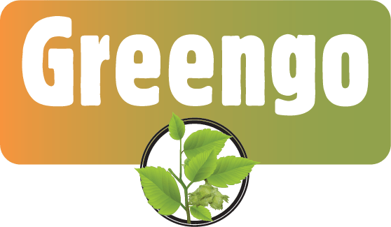 Greengo - A Bong Shop